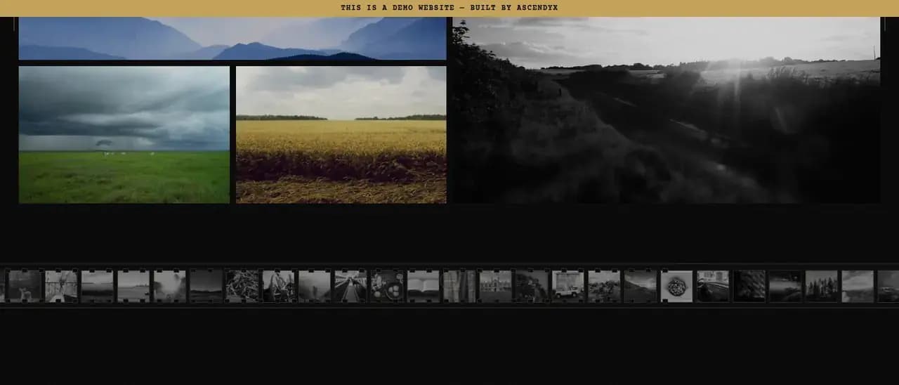 The lower gallery rows above a contact-sheet strip of small monochrome frames