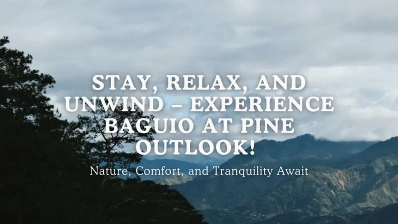 Pine Outlook website preview