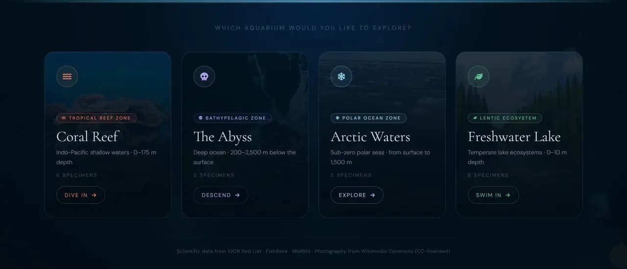 The four zone cards on the home page, for a tropical reef, the bathypelagic zone, a polar ocean and a lentic ecosystem, each with its own colour and specimen count