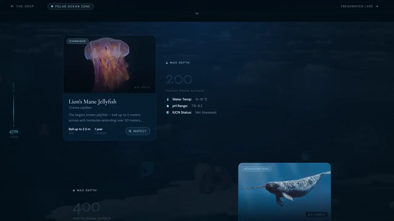 The Arctic Waters zone, with the depth meter reading part way down the left edge and a specimen entry for the lion's mane jellyfish beside its depth figure