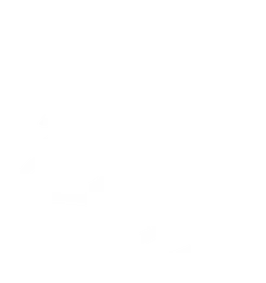 Pine Outlook